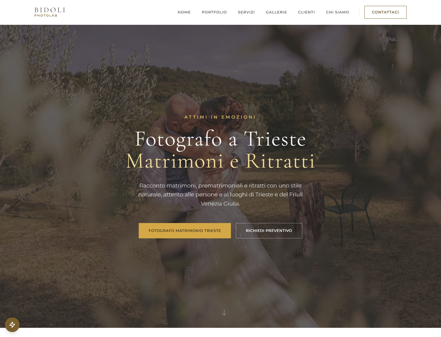 Snapshot portfolio Alessandro Bidoli
